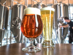 impuestos cerveza artesanal