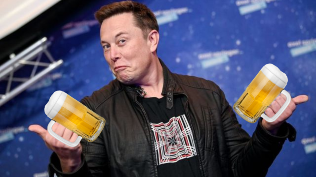 elon musk beer